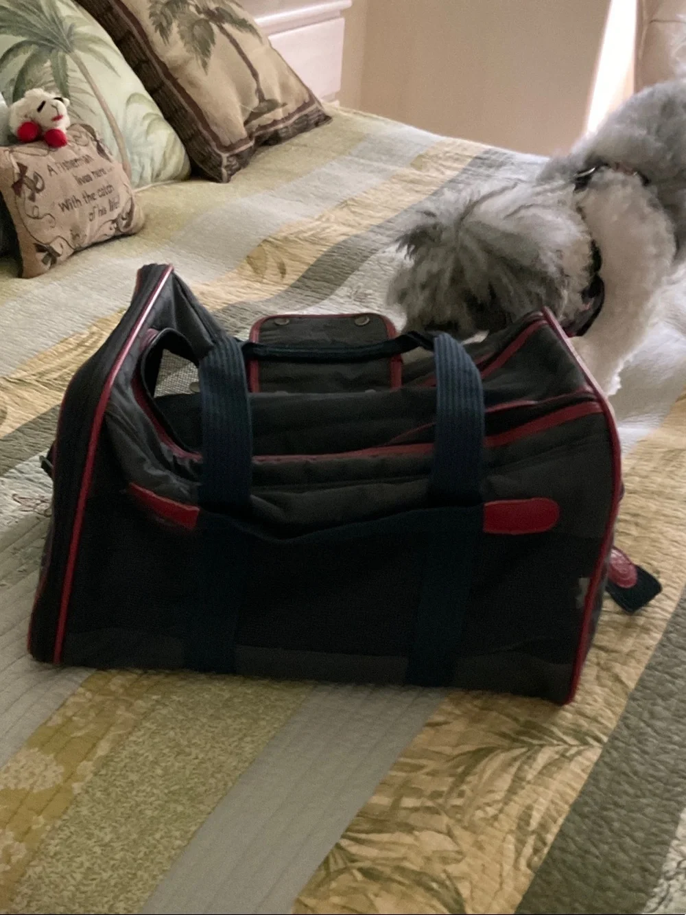 Pet carrier  navy Duffel Bag with Red Trim and Navy Handles